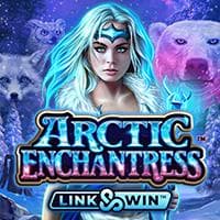 Arctic EnchantressΓäó