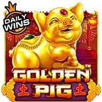 Golden PigΓäó